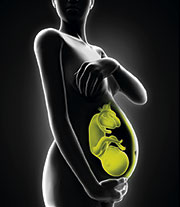 mujer embarazada fisioterapia